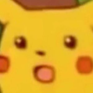 Meet your Posher, Bella